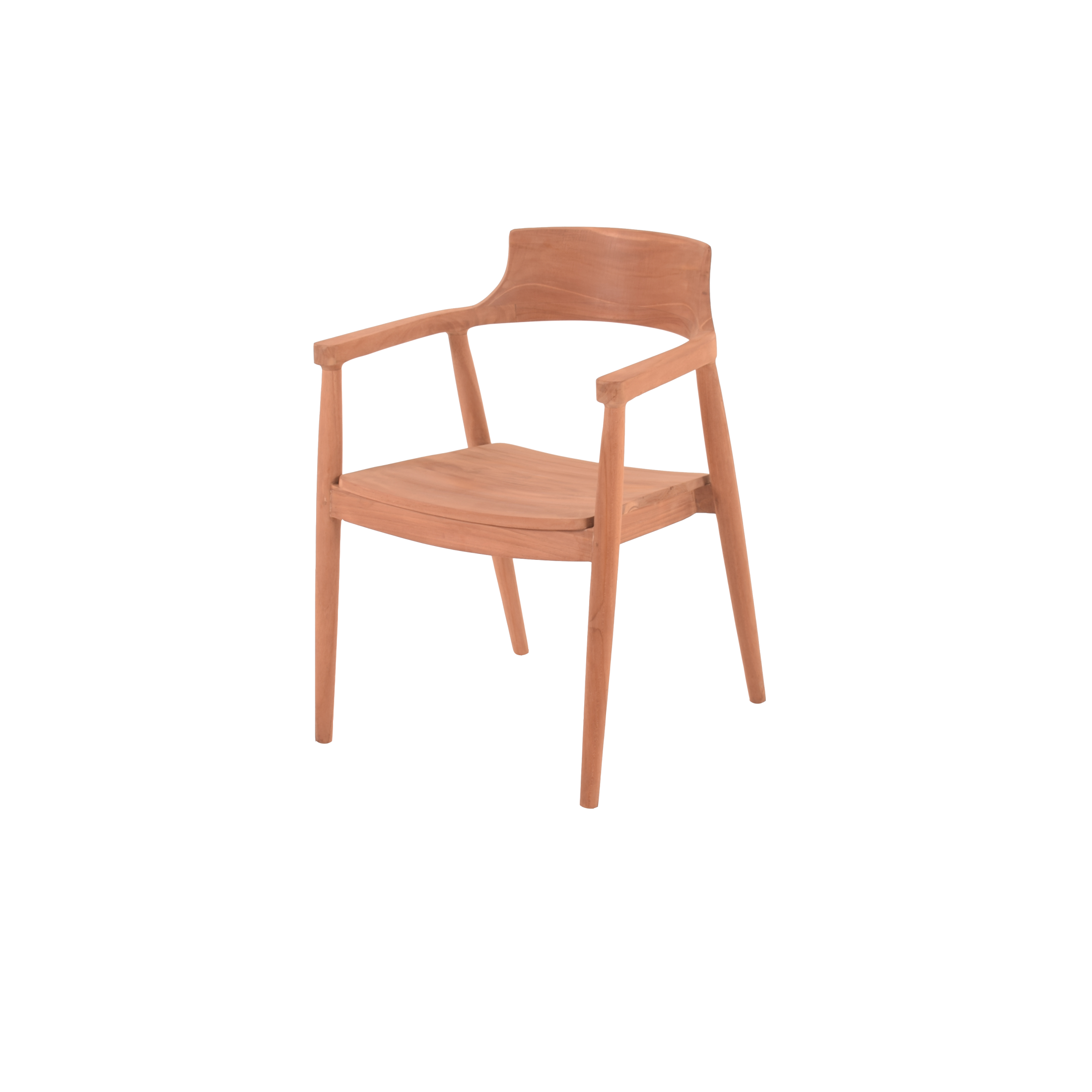XAVIER DINING ARM CHAIR