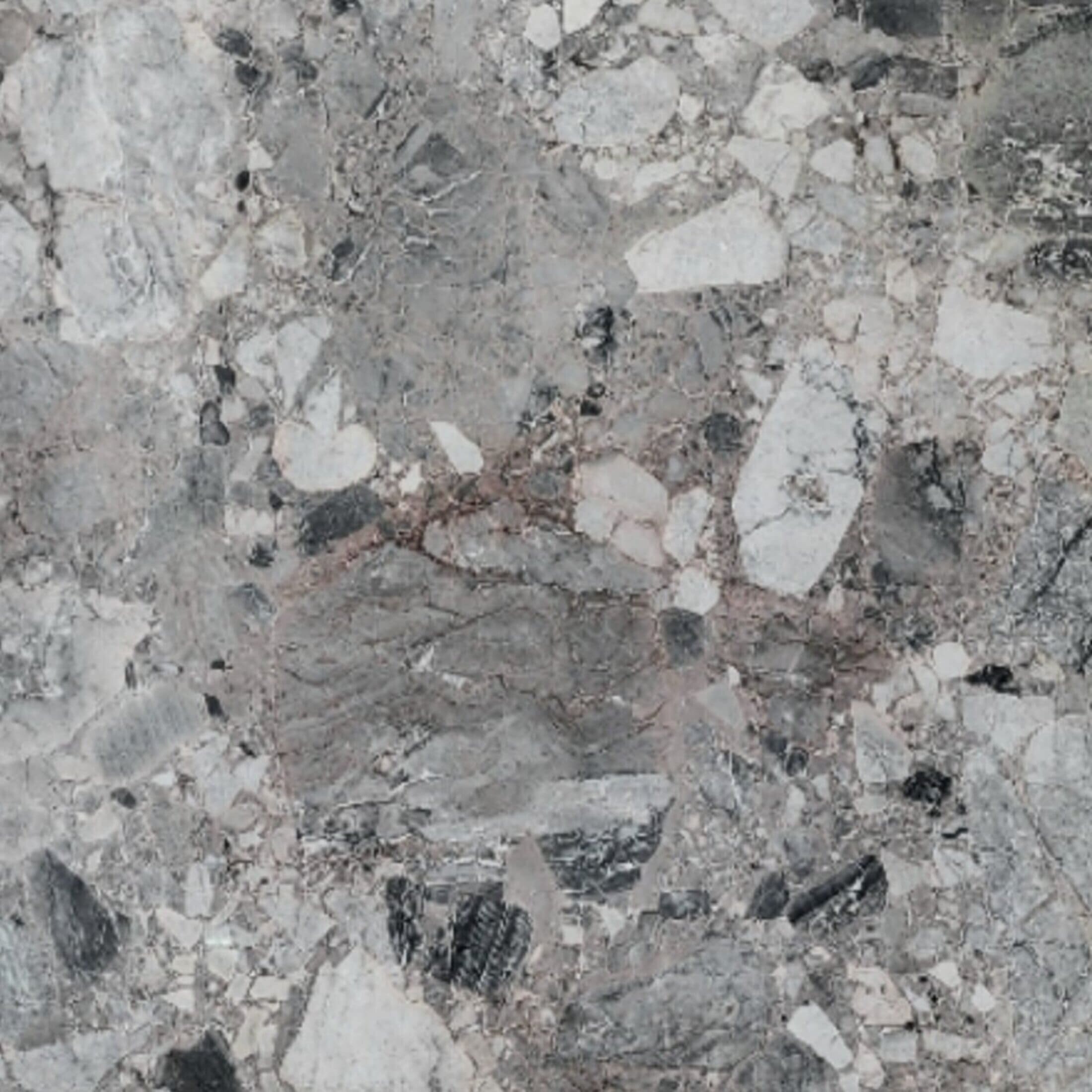 Panda Grey Panda Grey