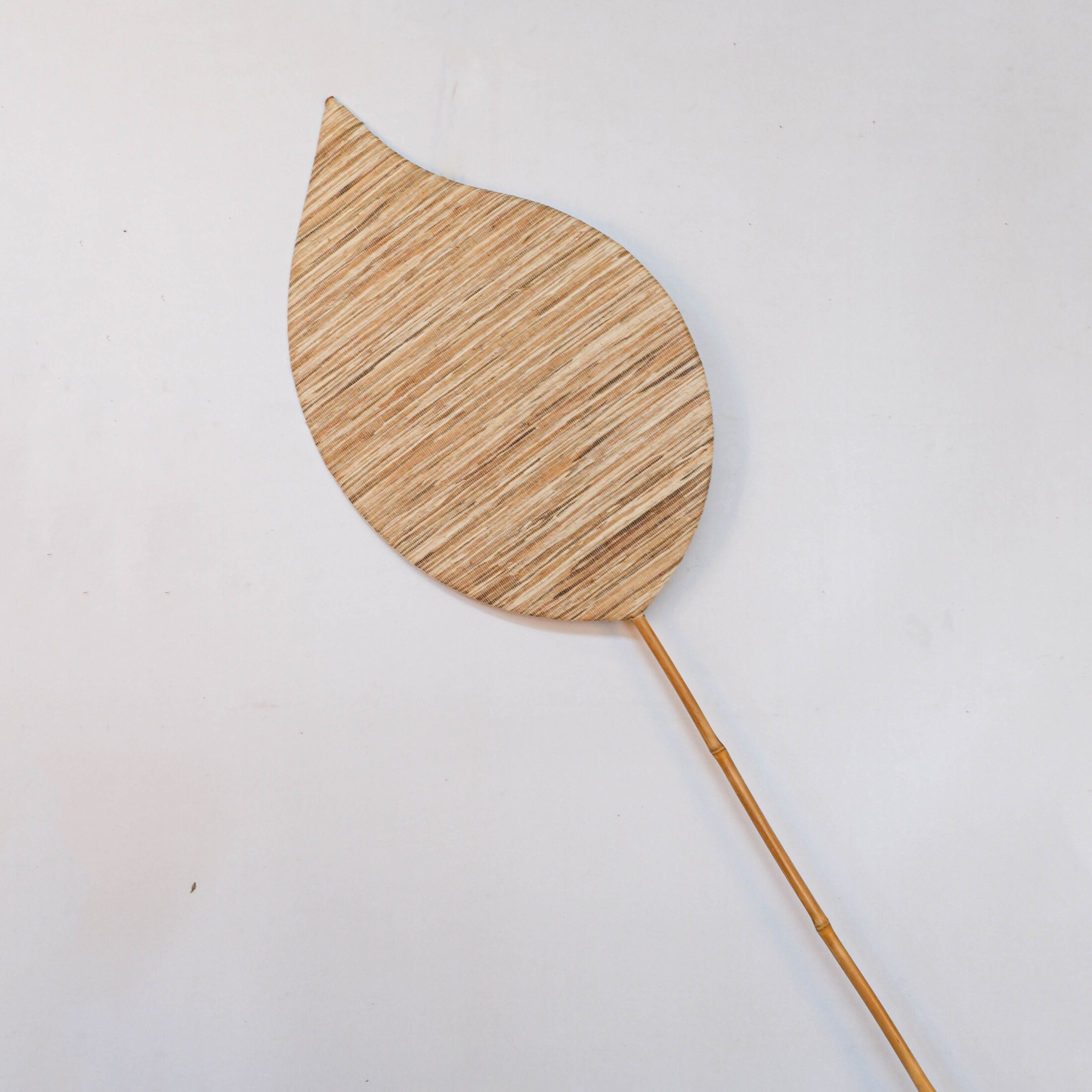 Wasserhyazinthe blätter Wasserhyazinthe blätter